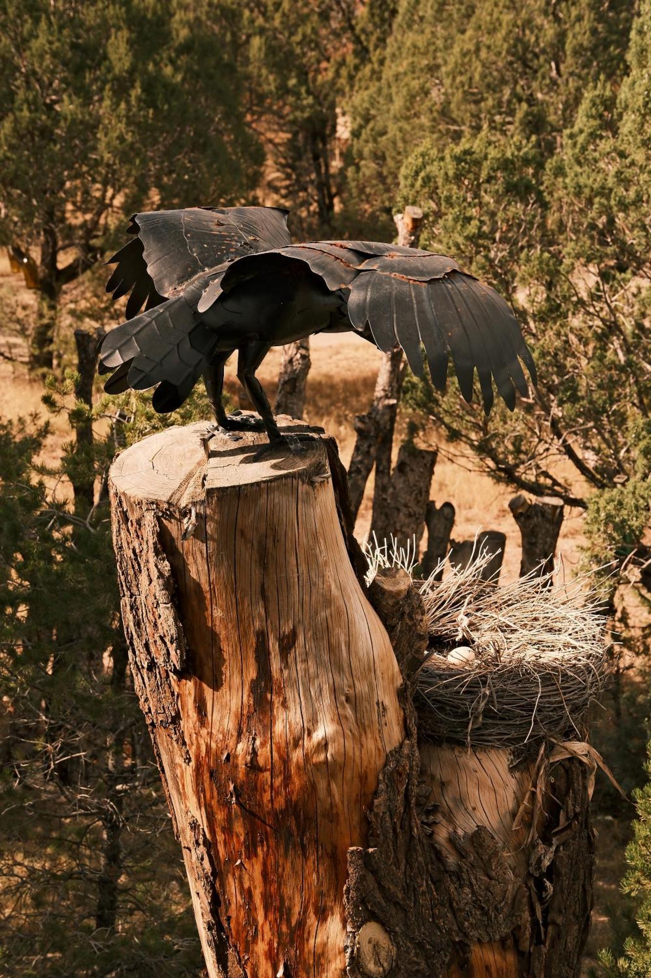 فيلا Crows Nest Treehouse At El Mstico Ranch Nogal المظهر الخارجي الصورة