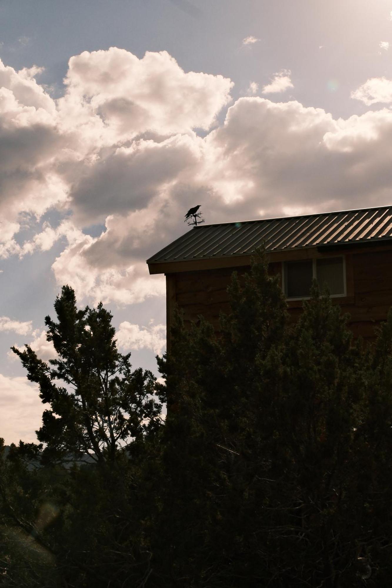 فيلا Crows Nest Treehouse At El Mstico Ranch Nogal المظهر الخارجي الصورة