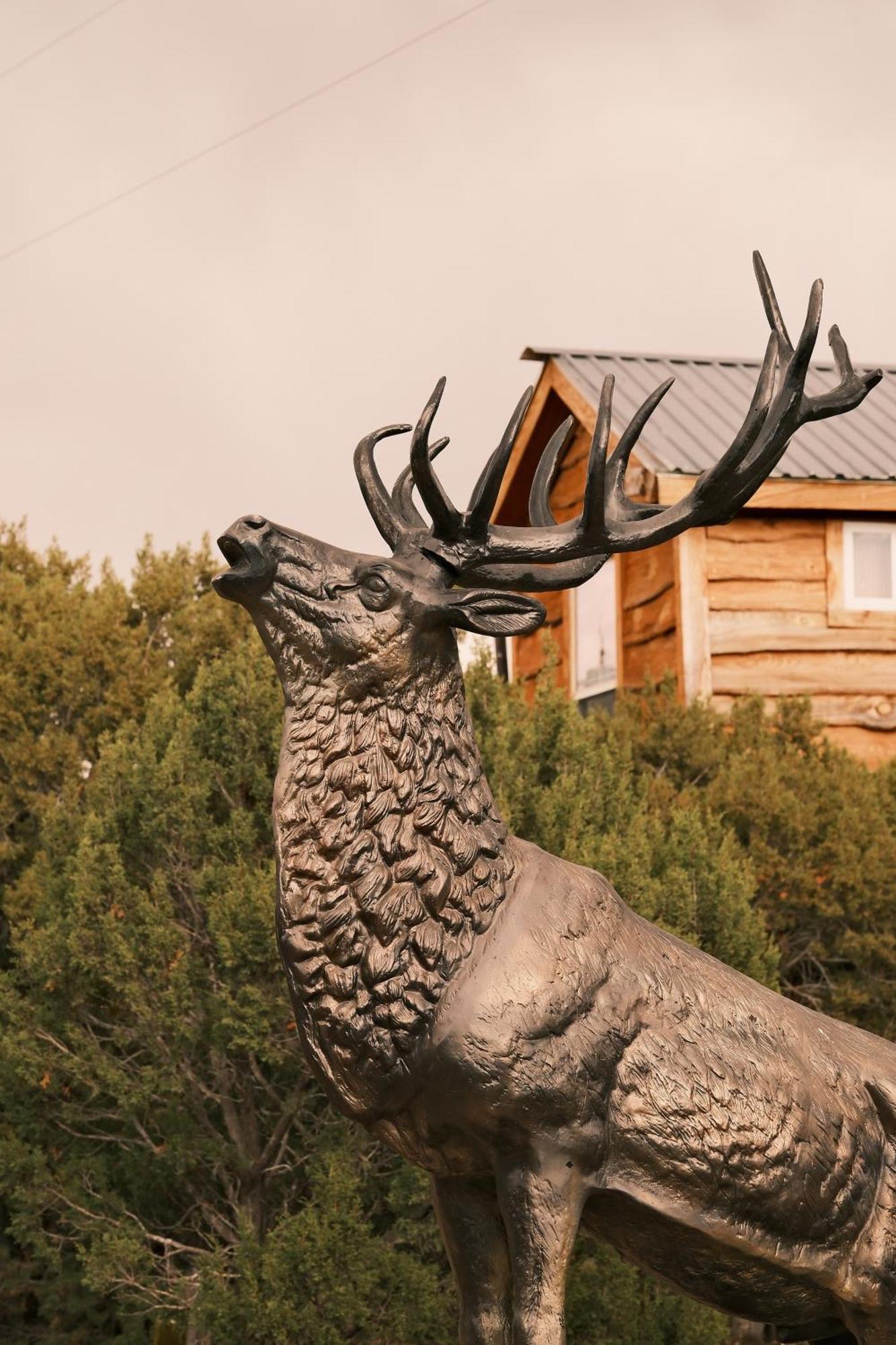 فيلا Crows Nest Treehouse At El Mstico Ranch Nogal المظهر الخارجي الصورة